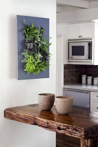UpthewallCTgardens Living Art Wall Planter with Live Mixed Tropicals