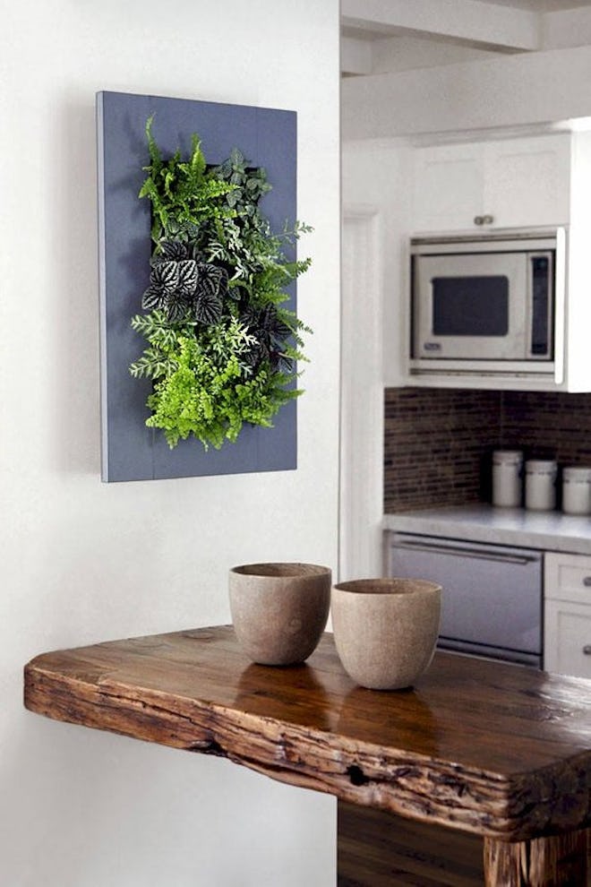 UpthewallCTgardens Living Art Wall Planter with Live Mixed Tropicals