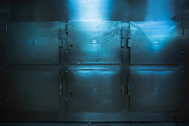 Corpse Things 7 Creepy Things A Dead Body Can Do, According To Science
