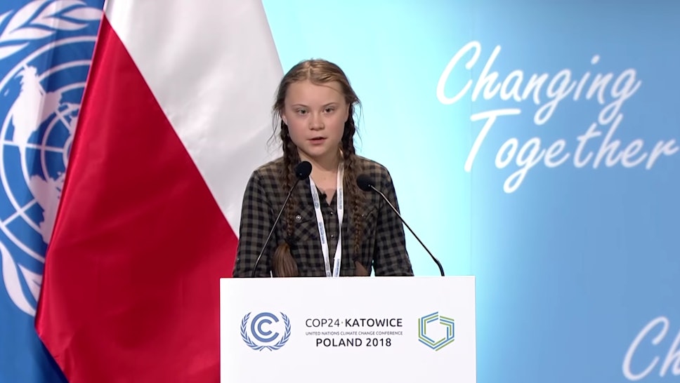 Image result for young climate activist cop24