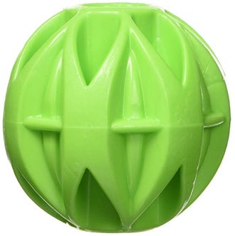 JW Pet Company Megalast Ball