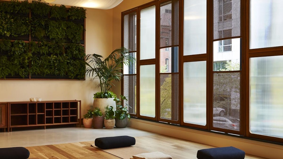 Natural Care Holistic Health Center Natural Care Holistic Health Center