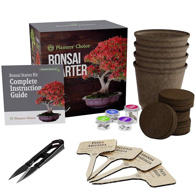 Planters' Choice Bonsai Starter Kit