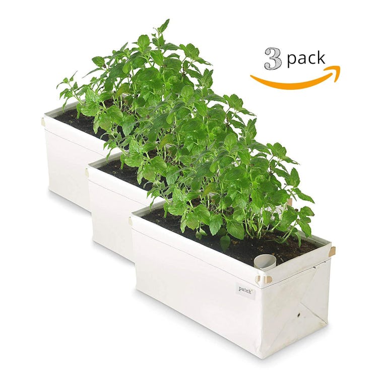 Patch Planters Self-Watering Planter (3 Pack)