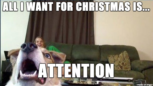 13 Ridiculously Funny Christmas Memes That Are Honestly All Of Us On