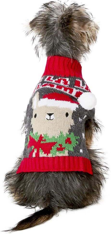 10 Ugly Pet Sweaters For National Ugly Sweater Day, Because Why Should