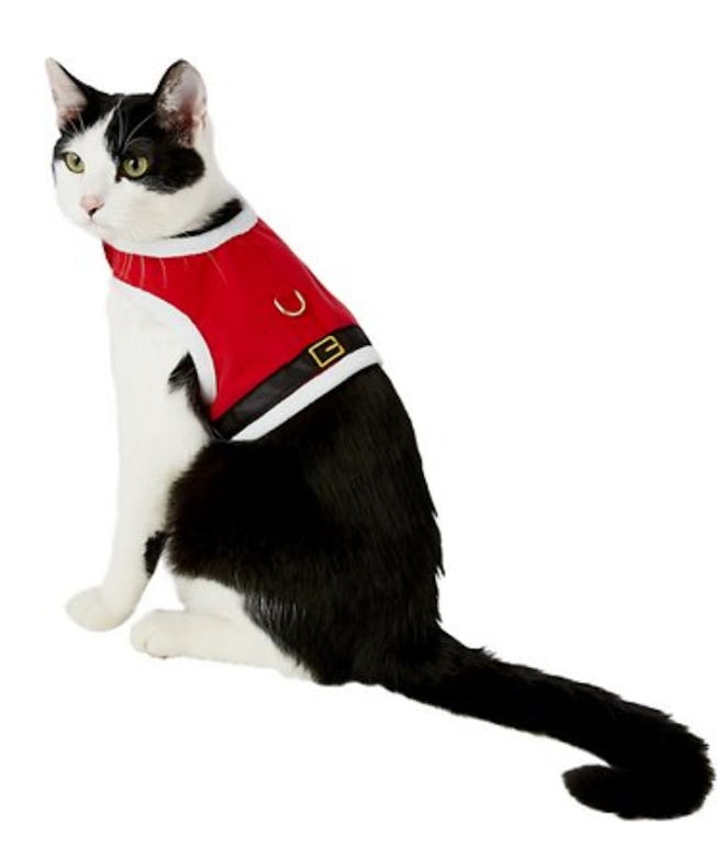 Santa Cat Harness