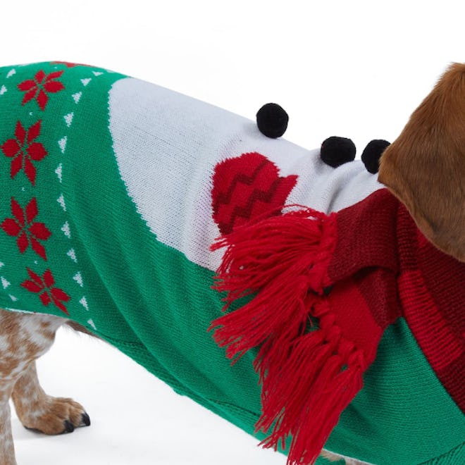 Merry and Bright Dog Holiday Sweater