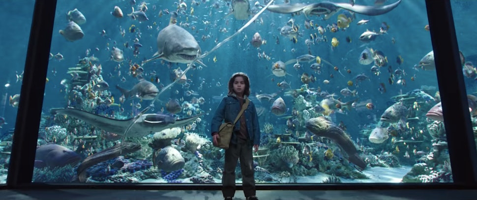 The Environmental Message In 'Aquaman' Grounds The 