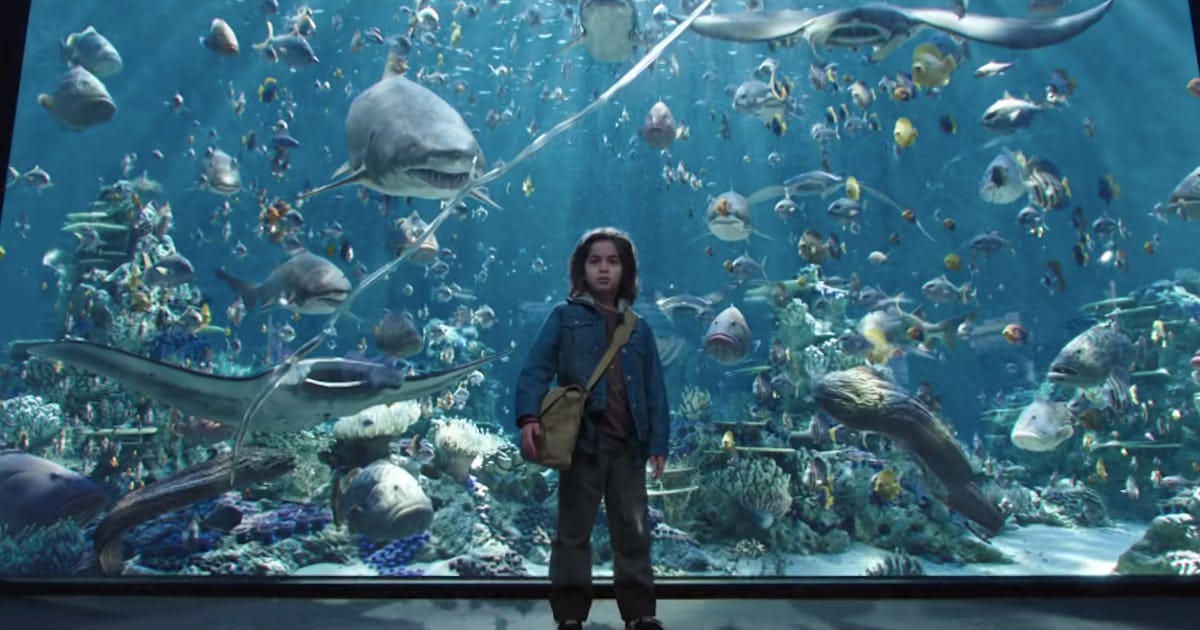 The Environmental Message In 'Aquaman' Grounds The Otherwise Wacky Superhero Movie