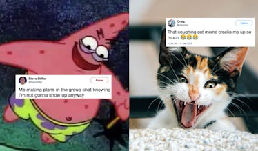 Random memes to make you laugh (NO MONEY BACK!!! NOT GUARANTEED!!!)
