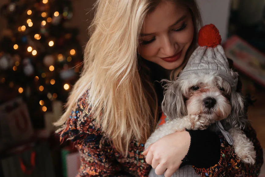 25 Instagram Captions For Your Dog On Christmas Morning ...