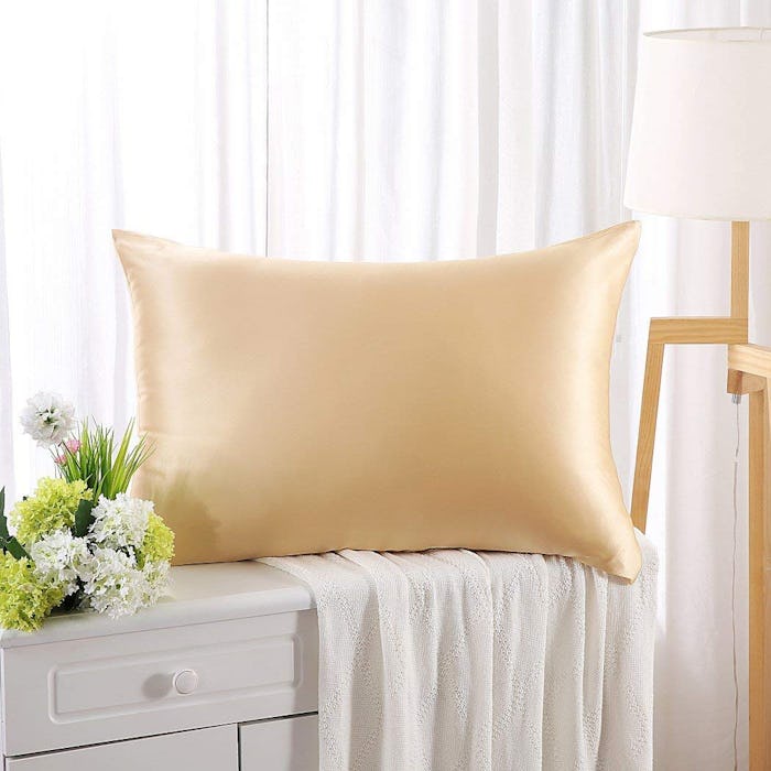 ZIMASILK 100% Silk Pillow Case