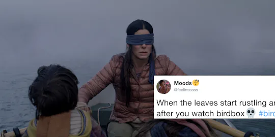 Hilarious Twitter Reactions To 'Bird Box' Will Help You Forget How ...