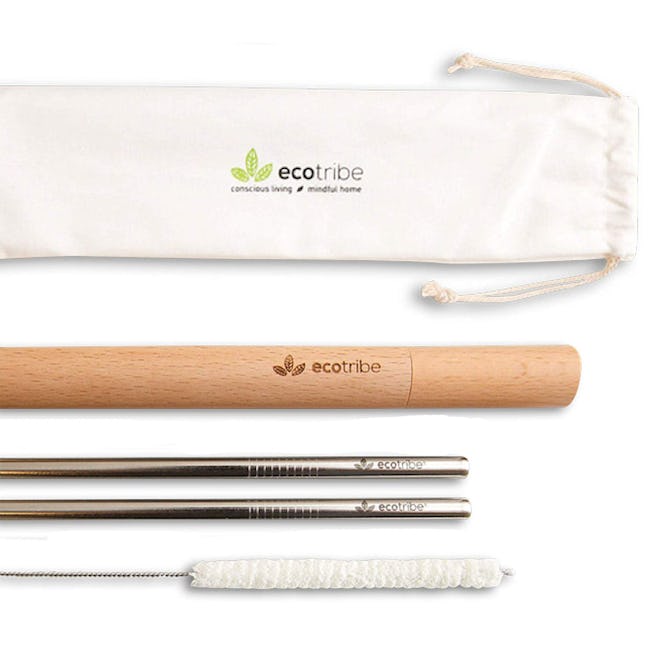 Ecotribe Stainless Steel Reusable Straw Set (Set of 2)