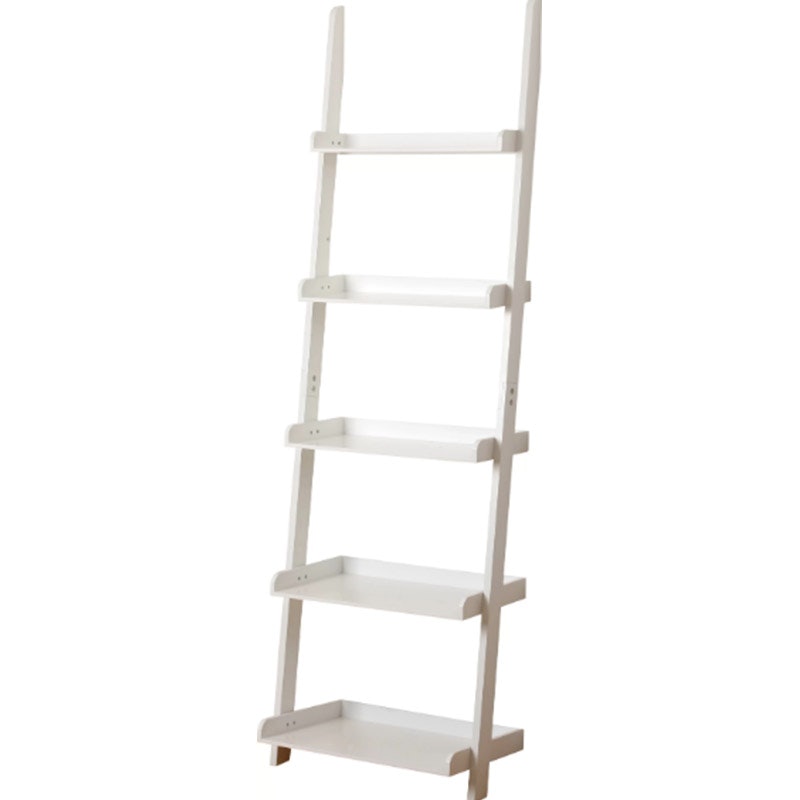 Ricardo 2024 ladder bookcase