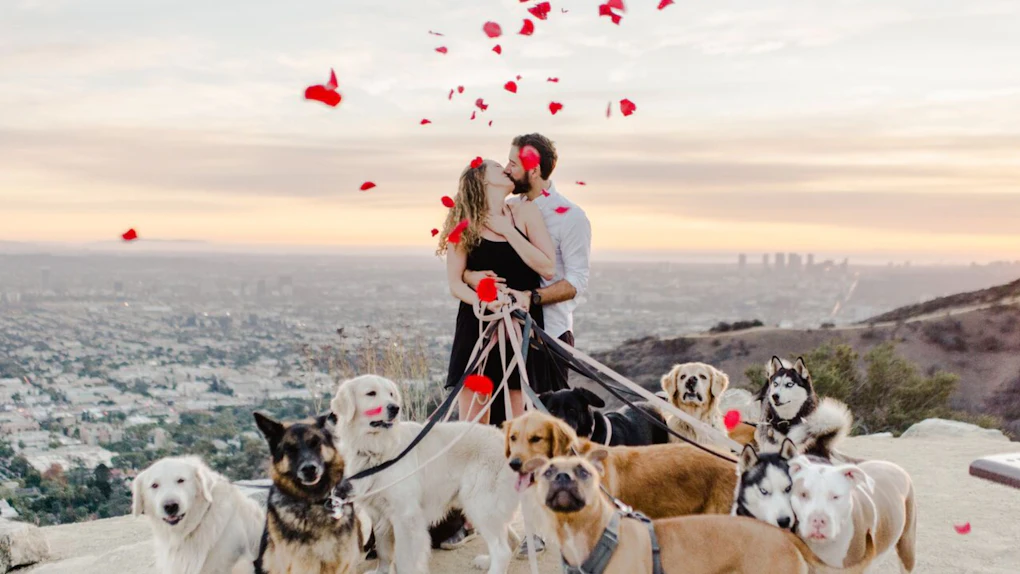 Laura Stampler Maurice Goldstein S Engagement Combines 16 Dogs
