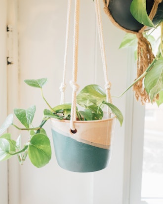 Hanging Planter, Lake