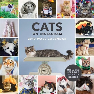 Cats On Instagram Wall Calendar 