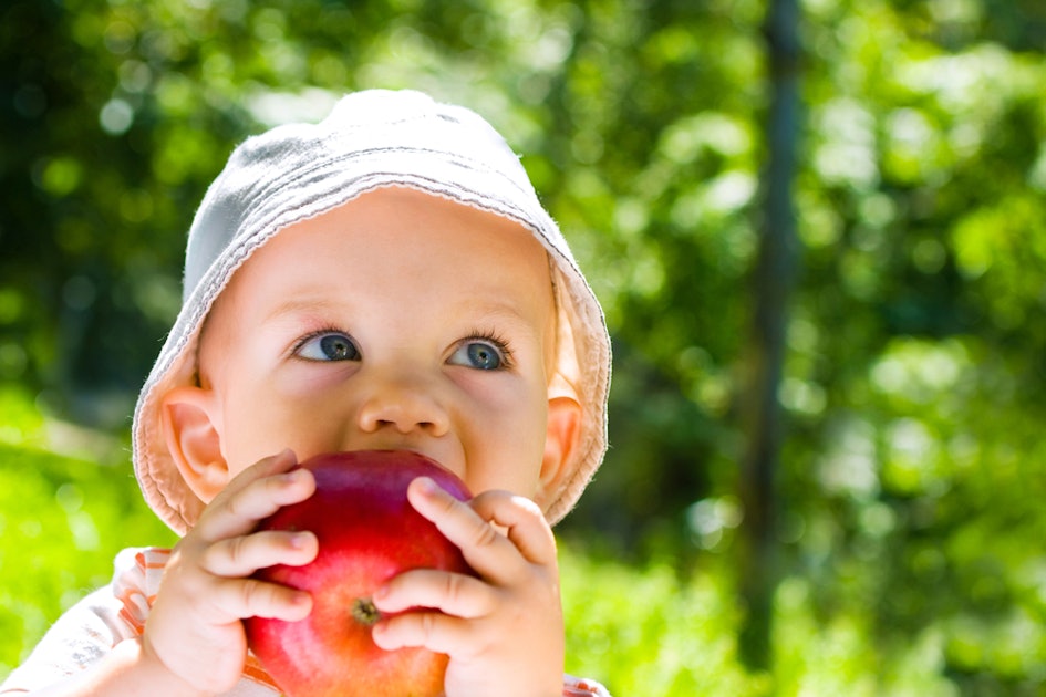 Мама ест яблоко. Ребенок ест яблоко. Ребенок кусает яблоко. Мальчик кушает яблоко. Мальчик надкусывает яблоко.