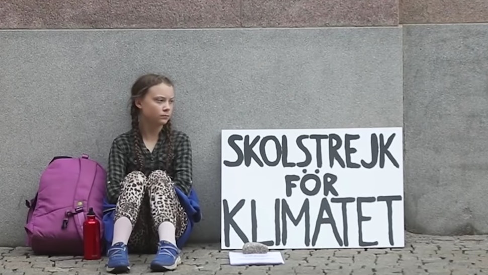 Image result for greta thunberg