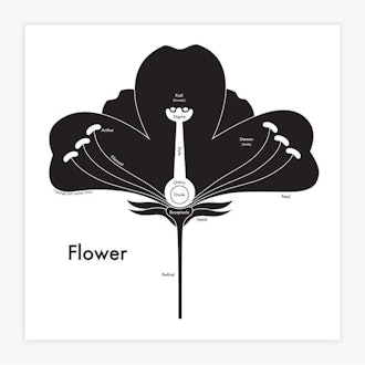 Flower Letterpress Print