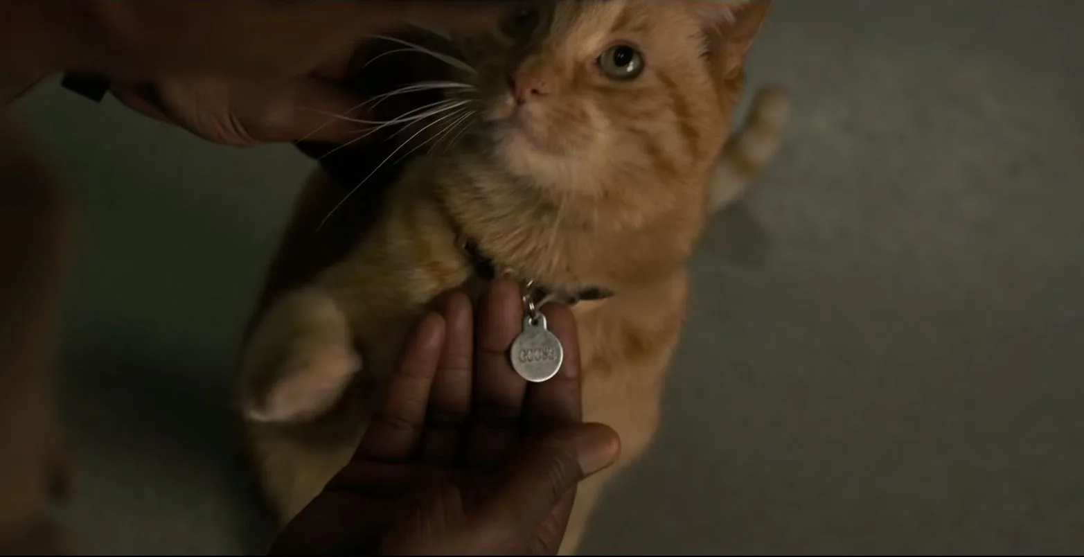 This 'Captain Marvel' Fan Theory About Nick & The Cat Will Make You ...
