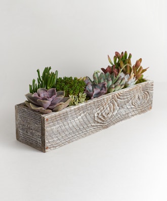 Kimberlee Wood Rectangle Planter With Succulents