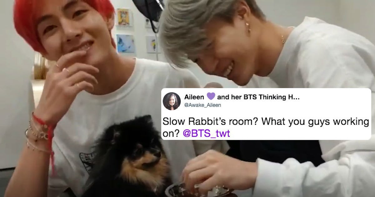 This Video Of Bts V Jimin Playing With Yeontan The Dog May Tease Even More New Music