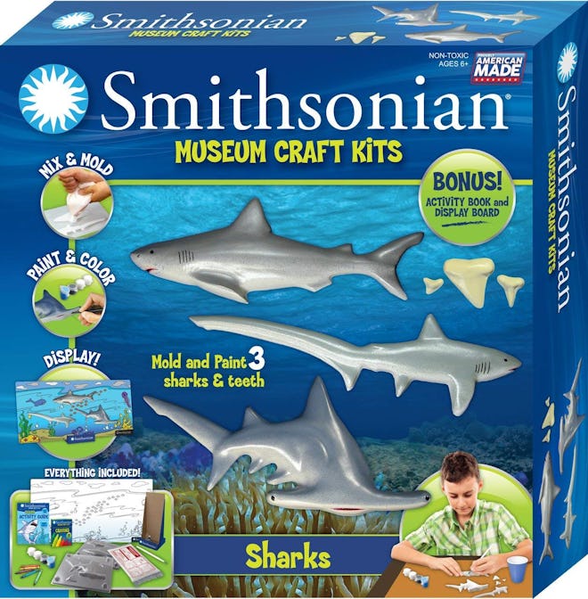 Smithsonia Ceramic Shark Craft Kit