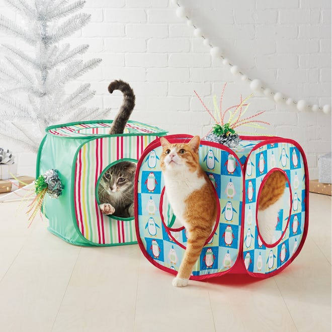 Holiday Cube – 2-Pack