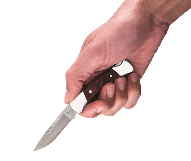 Buck Knives Prince Folding Pocket Knife