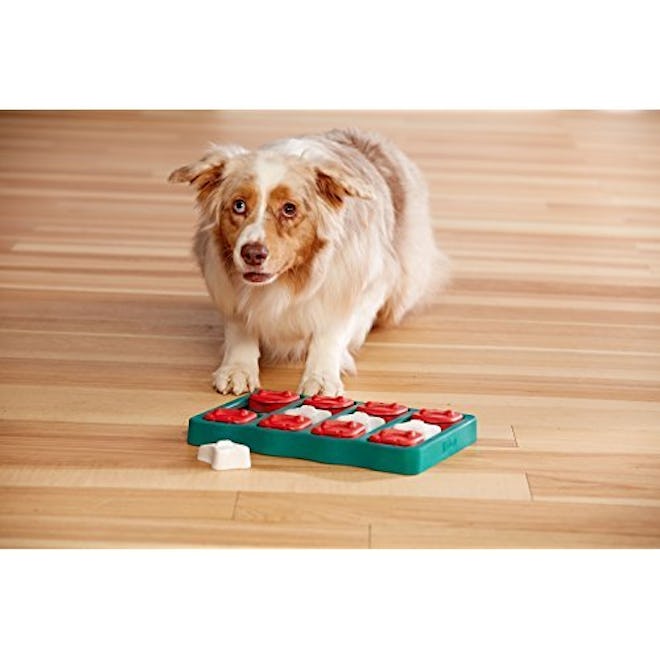 Outward Hound Nina Ottoson Dog Brick Treat Puzzle Dog Toy