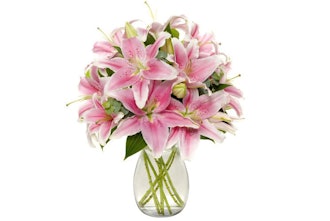 Benchmark Bouquets Stargazer Lily Bunch