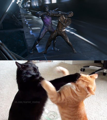 19 Black Panther Memes Tweets Fans Of The Marvel Movie Need To See Right Now