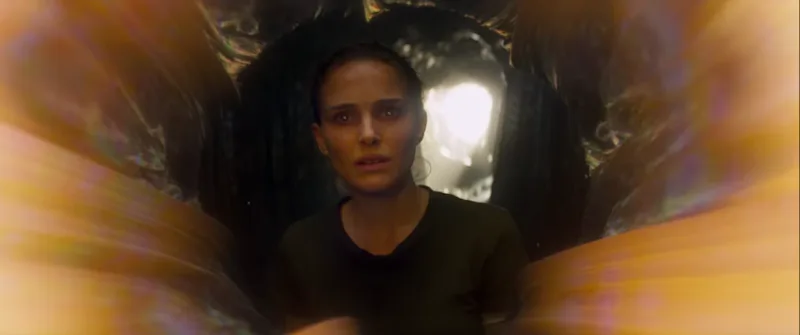 What Does The Annihilation Ending Mean The Shimmer Leaves Nothing Clear