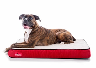 BRINDLE Waterproof Designer Pet Bed