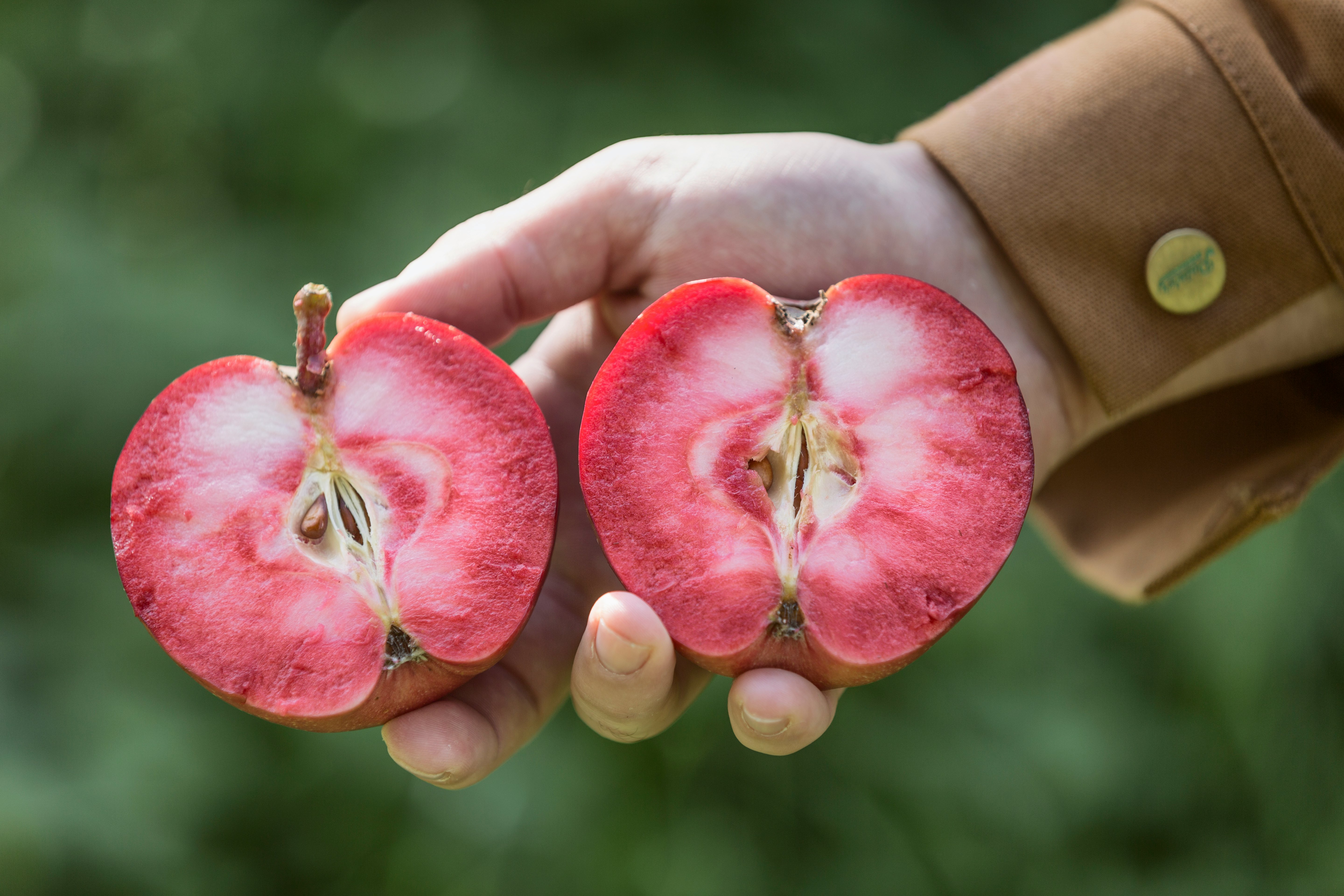 How to Add Millennial Pink to the Home - Wild Apple