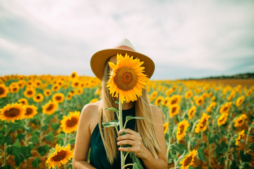 Sunflower Quotes About Love