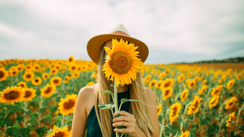 23 Instagram Captions For Sunflowers That Ll Instantly Brighten Up