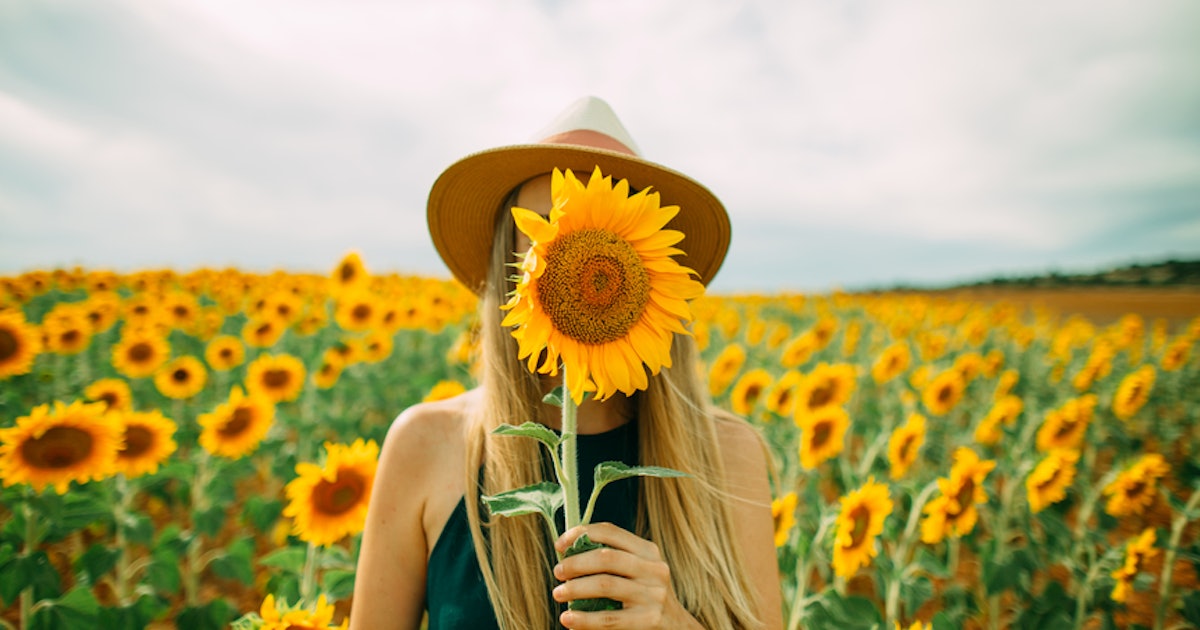 23 Instagram  Captions For Sunflowers That ll Instantly 