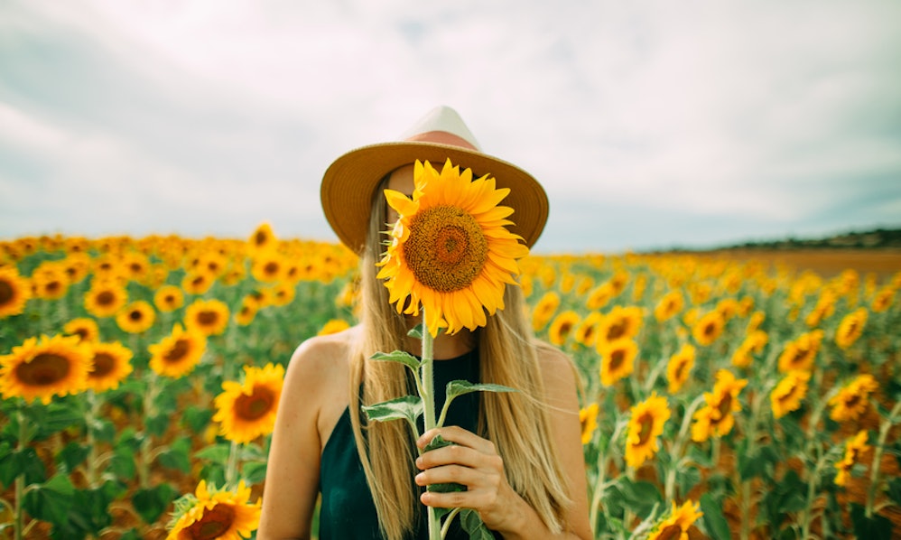 23 Instagram Captions For Sunflowers That'll Instantly Brighten Up Your Day