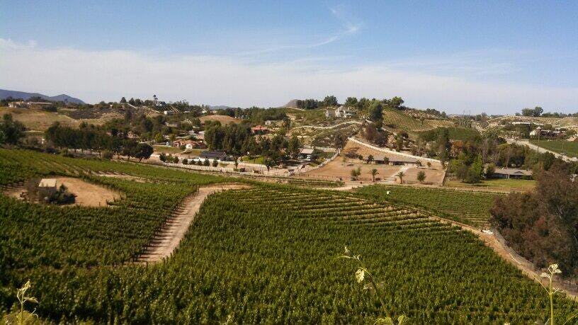 7 Best Wineries To Visit In California For Your Bestie's Bachelorette Party