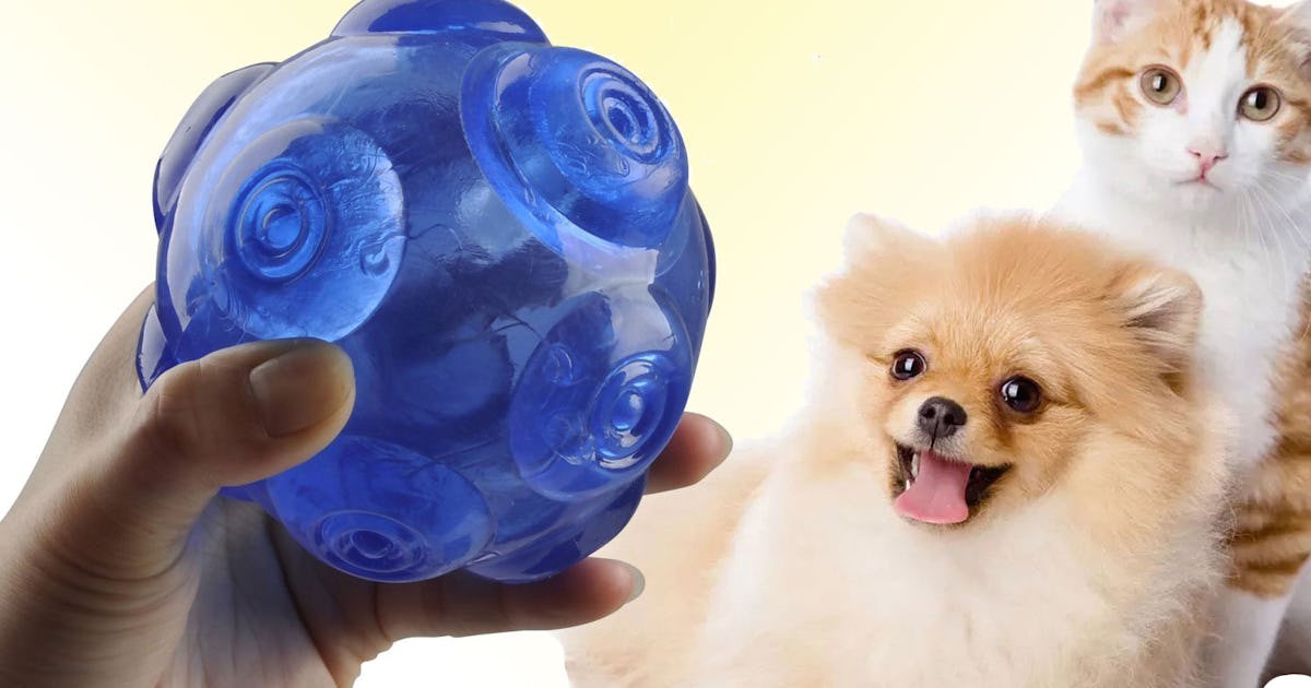 7 Indestructible Squeaky Dog Toys