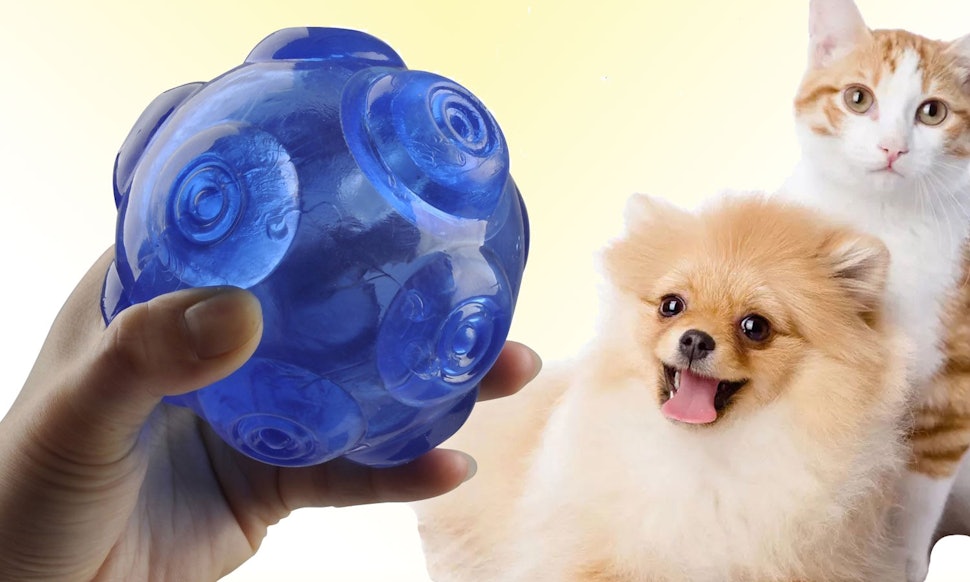 7 Indestructible Squeaky Dog Toys
