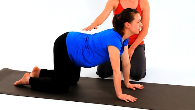 Pregnant woman doing yoga cat cow pose.