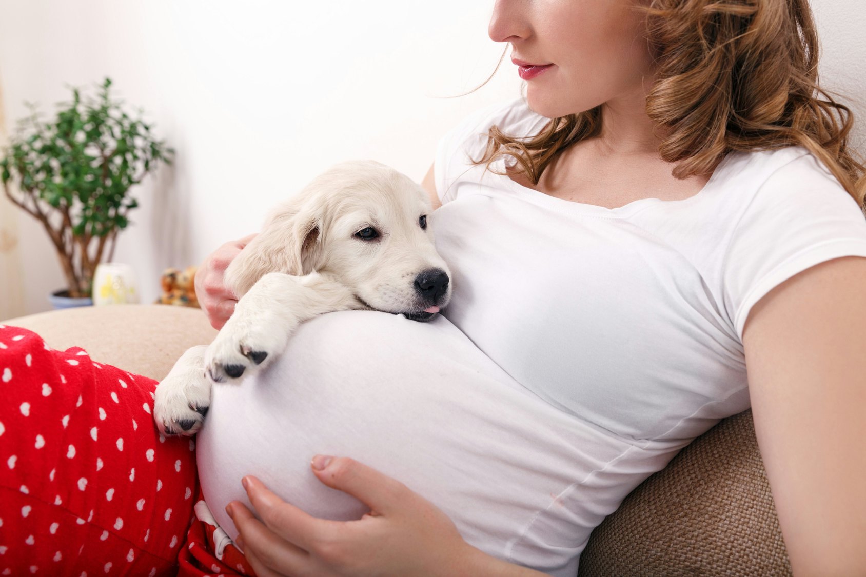 Should You Adopt A Dog While Pregnant 