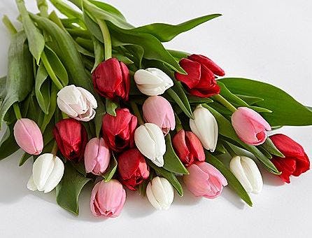 What To Buy At The ProFlowers Valentine's Day 2018 Sale To Make Your
