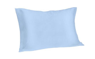 Spasilk 100 Percent Pure Silk Facial Beauty Pillowcase
