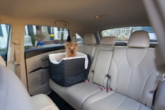 Snoozer Lookout 1 Dog Car Seat